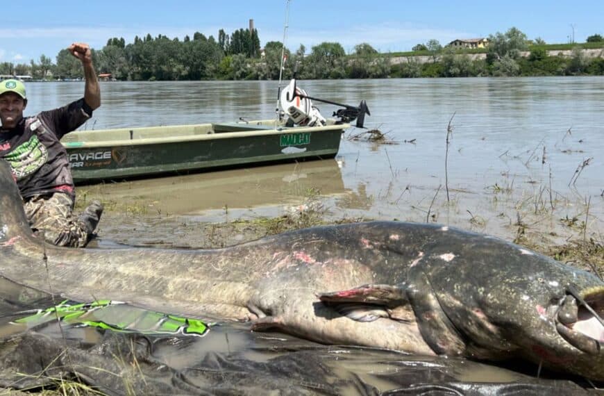 The miraculous catch: how a seasoned angler broke records with a 9-foot catfish